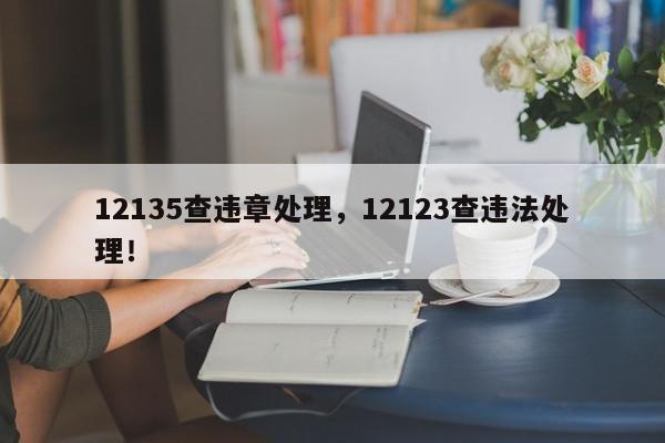 12135查违章处理，12123查违法处理！-第1张图片-我家生活百科