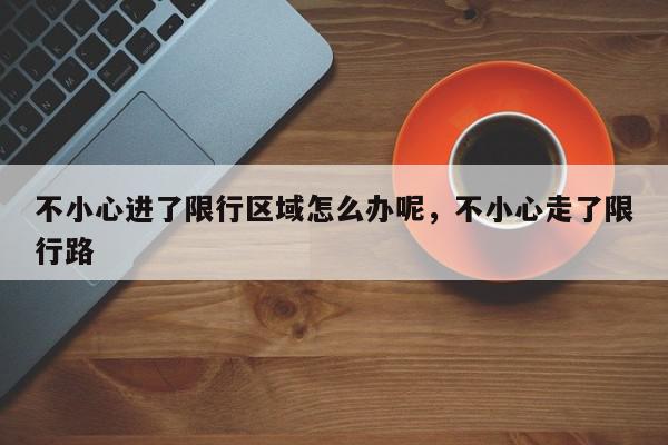 不小心进了限行区域怎么办呢，不小心走了限行路-第1张图片-我家生活百科