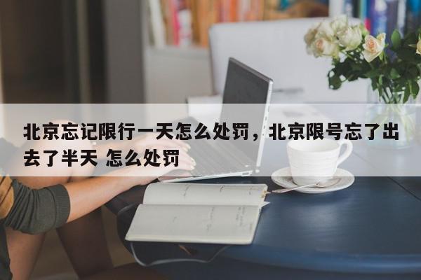 北京忘记限行一天怎么处罚，北京限号忘了出去了半天 怎么处罚-第1张图片-我家生活百科