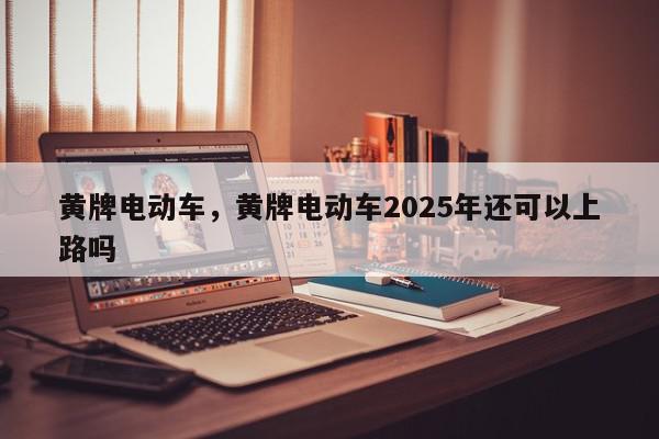 黄牌电动车，黄牌电动车2025年还可以上路吗-第1张图片-我家生活百科