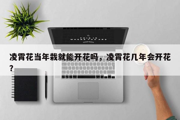 凌霄花当年栽就能开花吗，凌霄花几年会开花？-第1张图片-我家生活百科