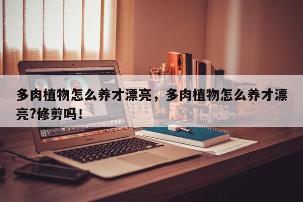 多肉植物怎么养才漂亮，多肉植物怎么养才漂亮?修剪吗！-第1张图片-我家生活百科