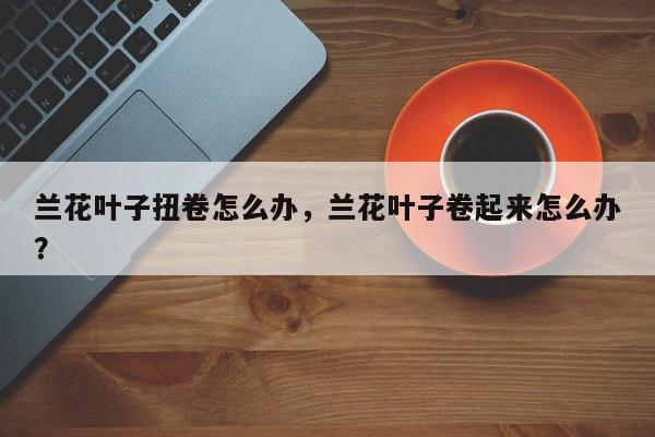 兰花叶子扭卷怎么办，兰花叶子卷起来怎么办？-第1张图片-我家生活百科