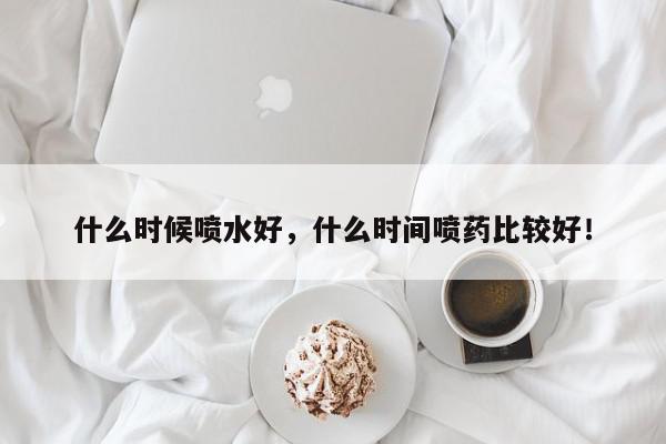 什么时候喷水好，什么时间喷药比较好！-第1张图片-我家生活百科