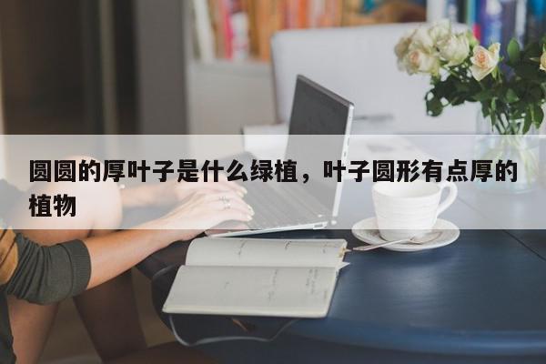 圆圆的厚叶子是什么绿植，叶子圆形有点厚的植物-第1张图片-我家生活百科