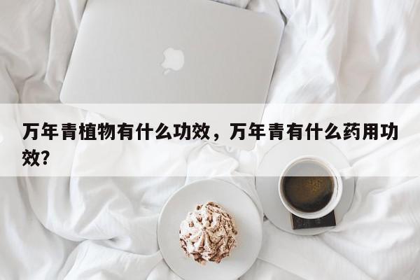 万年青植物有什么功效，万年青有什么药用功效？-第1张图片-我家生活百科