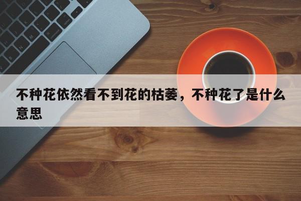 不种花依然看不到花的枯萎，不种花了是什么意思-第1张图片-我家生活百科