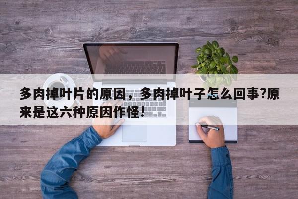 多肉掉叶片的原因，多肉掉叶子怎么回事?原来是这六种原因作怪!-第1张图片-我家生活百科