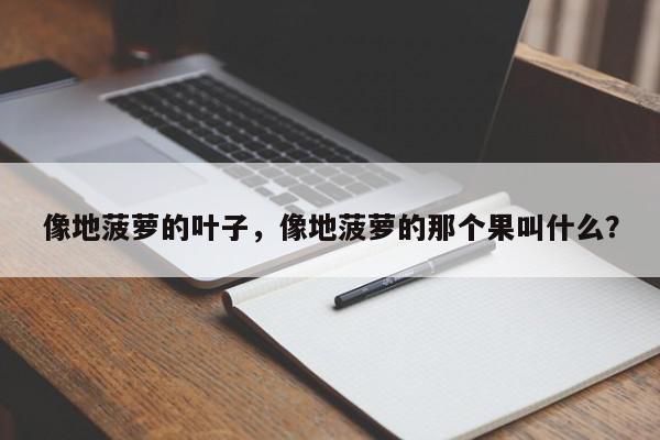像地菠萝的叶子，像地菠萝的那个果叫什么？-第1张图片-我家生活百科
