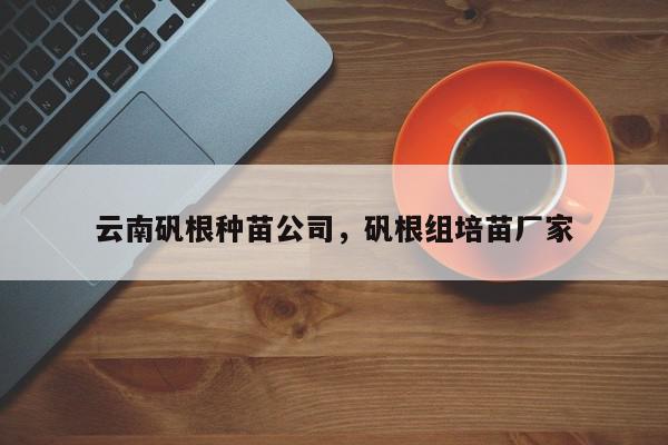 云南矾根种苗公司，矾根组培苗厂家-第1张图片-我家生活百科