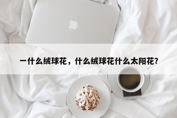 一什么绒球花，什么绒球花什么太阳花？-第1张图片-我家生活百科