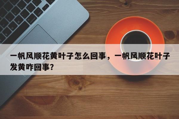 一帆风顺花黄叶子怎么回事，一帆风顺花叶子发黄咋回事？-第1张图片-我家生活百科
