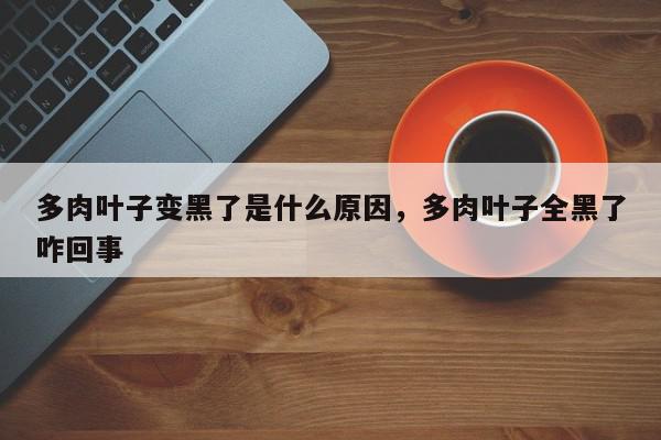 多肉叶子变黑了是什么原因，多肉叶子全黑了咋回事-第1张图片-我家生活百科