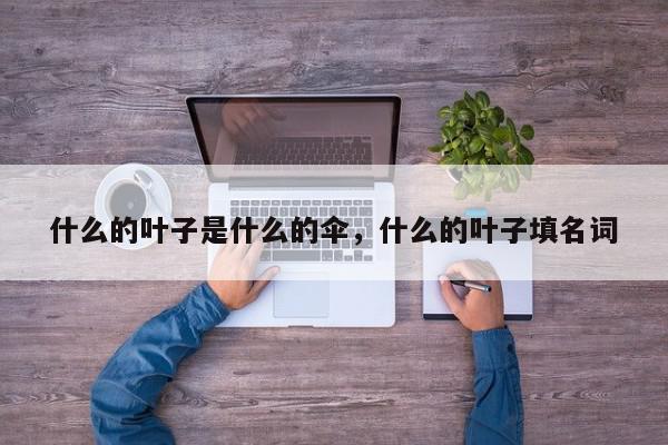 什么的叶子是什么的伞，什么的叶子填名词-第1张图片-我家生活百科