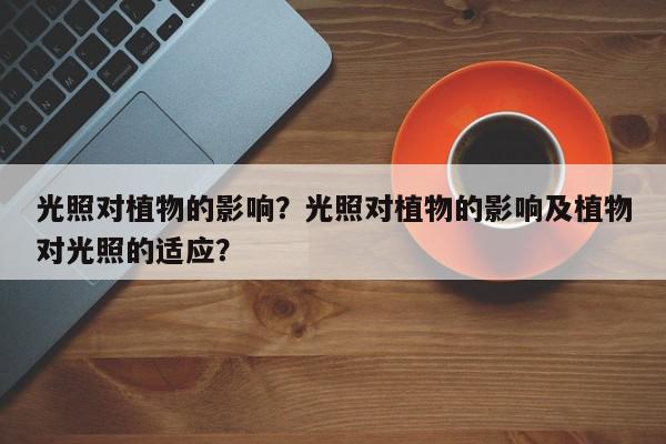 光照对植物的影响？光照对植物的影响及植物对光照的适应？-第1张图片-我家生活百科