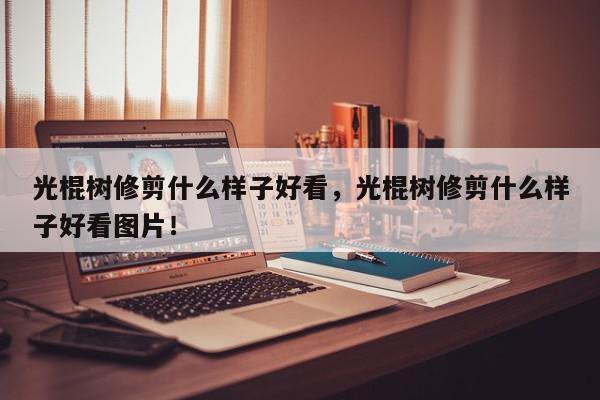 光棍树修剪什么样子好看，光棍树修剪什么样子好看图片！-第1张图片-我家生活百科
