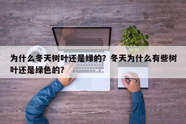 为什么冬天树叶还是绿的?冬天为什么有些树叶还是绿色的?-第1张图片-我家生活百科 为什么冬天树叶还是绿的?冬天为什么有些树叶还是绿色的?-第1张图片-我家生活百科