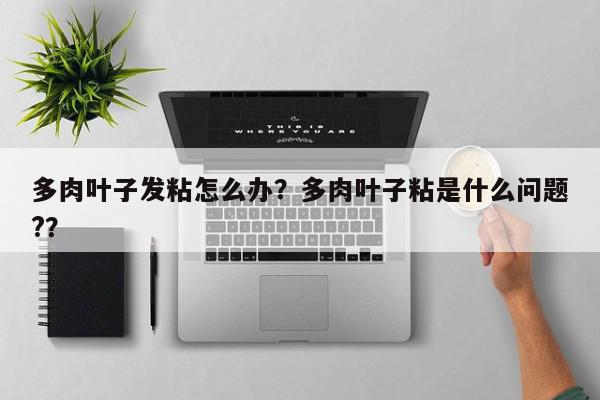 多肉叶子发粘怎么办?多肉叶子粘是什么问题??-第1张图片-我家生活百科 多肉叶子发粘怎么办?多肉叶子粘是什么问题??-第1张图片-我家生活百科