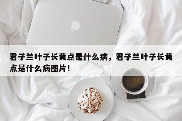 君子兰叶子长黄点是什么病,君子兰叶子长黄点是什么病图片!-第1张图片-我家生活百科 君子兰叶子长黄点是什么病,君子兰叶子长黄点是什么病图片!-第1张图片-我家生活百科