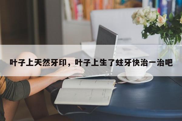 叶子上天然牙印，叶子上生了蛀牙快治一治吧-第1张图片-我家生活百科