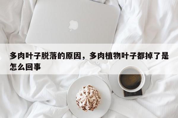 多肉叶子脱落的原因,多肉植物叶子都掉了是怎么回事-第1张图片-我家生活百科 多肉叶子脱落的原因,多肉植物叶子都掉了是怎么回事-第1张图片-我家生活百科
