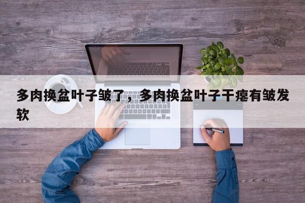 多肉换盆叶子皱了,多肉换盆叶子干瘪有皱发软-第1张图片-我家生活百科 多肉换盆叶子皱了,多肉换盆叶子干瘪有皱发软-第1张图片-我家生活百科