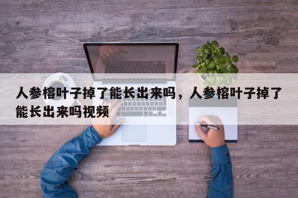 人参榕叶子掉了能长出来吗，人参榕叶子掉了能长出来吗视频-第1张图片-我家生活百科