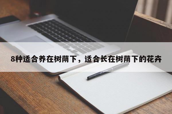 8种适合养在树荫下，适合长在树荫下的花卉-第1张图片-我家生活百科