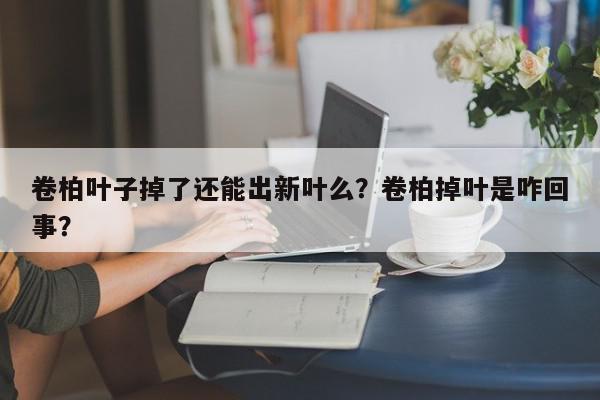卷柏叶子掉了还能出新叶么？卷柏掉叶是咋回事？-第1张图片-我家生活百科