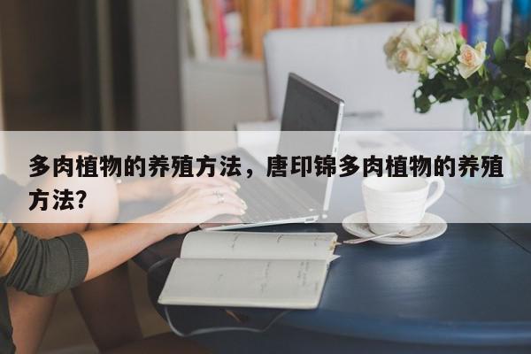 多肉植物的养殖方法，唐印锦多肉植物的养殖方法？-第1张图片-我家生活百科