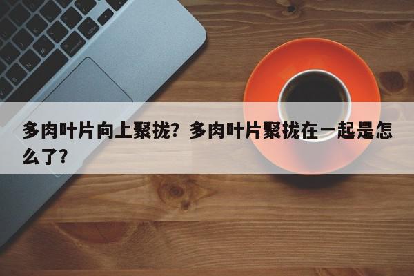 多肉叶片向上聚拢？多肉叶片聚拢在一起是怎么了？-第1张图片-我家生活百科
