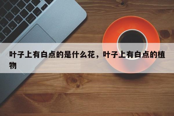 叶子上有白点的是什么花，叶子上有白点的植物-第1张图片-我家生活百科