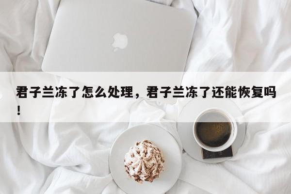 君子兰冻了怎么处理,君子兰冻了还能恢复吗!-第1张图片-我家生活百科 君子兰冻了怎么处理,君子兰冻了还能恢复吗!-第1张图片-我家生活百科