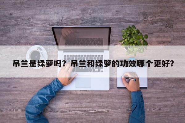 吊兰是绿萝吗？吊兰和绿箩的功效哪个更好？-第1张图片-我家生活百科