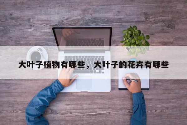大叶子植物有哪些，大叶子的花卉有哪些-第1张图片-我家生活百科