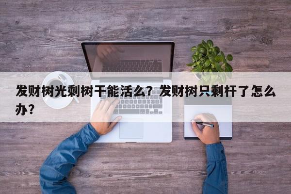 发财树光剩树干能活么？发财树只剩杆了怎么办？-第1张图片-我家生活百科
