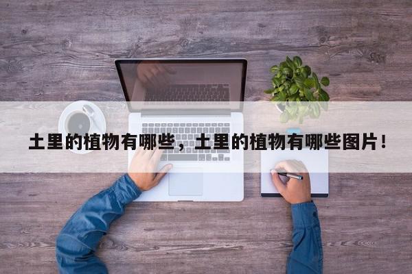 土里的植物有哪些，土里的植物有哪些图片！-第1张图片-我家生活百科