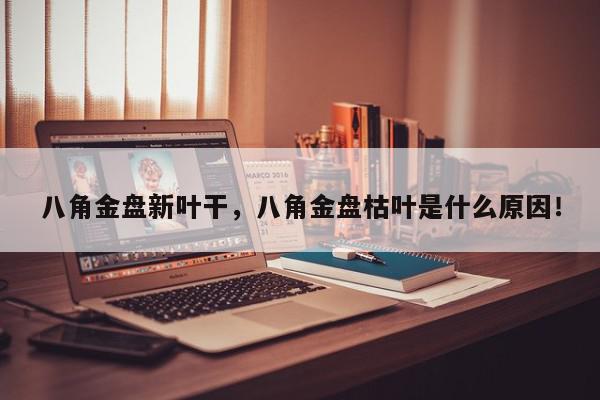 八角金盘新叶干,八角金盘枯叶是什么原因!-第1张图片-我家生活百科 八角金盘新叶干,八角金盘枯叶是什么原因!-第1张图片-我家生活百科