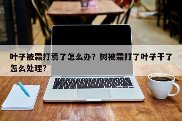 叶子被霜打焉了怎么办？树被霜打了叶子干了怎么处理？-第1张图片-我家生活百科