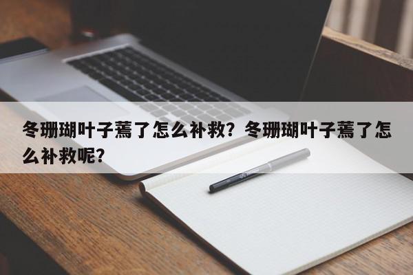 冬珊瑚叶子蔫了怎么补救？冬珊瑚叶子蔫了怎么补救呢？-第1张图片-我家生活百科