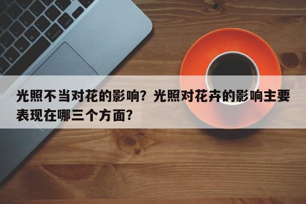 光照不当对花的影响?光照对花卉的影响主要表现在哪三个方面?-第1张图片-我家生活百科 光照不当对花的影响?光照对花卉的影响主要表现在哪三个方面?-第1张图片-我家生活百科