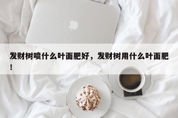 发财树喷什么叶面肥好，发财树用什么叶面肥！-第1张图片-我家生活百科