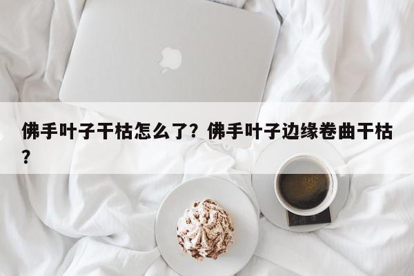 佛手叶子干枯怎么了?佛手叶子边缘卷曲干枯?-第1张图片-我家生活百科 佛手叶子干枯怎么了?佛手叶子边缘卷曲干枯?-第1张图片-我家生活百科