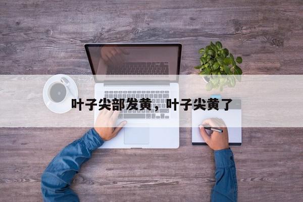 叶子尖部发黄，叶子尖黄了-第1张图片-我家生活百科