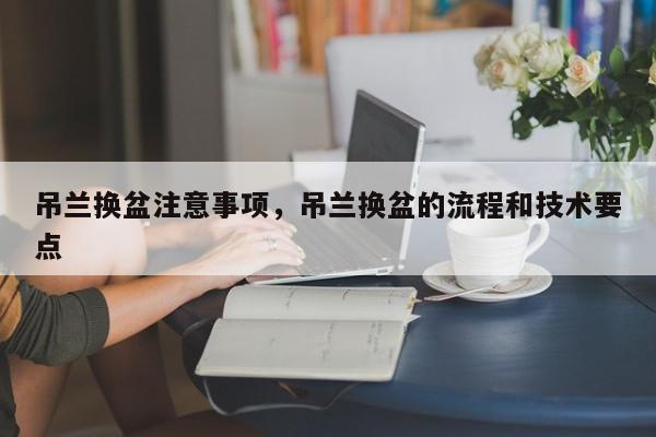 吊兰换盆注意事项，吊兰换盆的流程和技术要点-第1张图片-我家生活百科