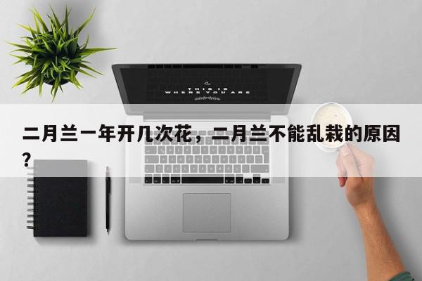 二月兰一年开几次花，二月兰不能乱栽的原因？-第1张图片-我家生活百科