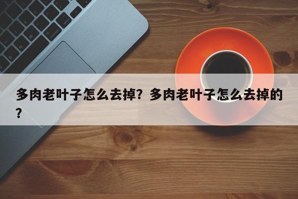 多肉老叶子怎么去掉？多肉老叶子怎么去掉的？-第1张图片-我家生活百科