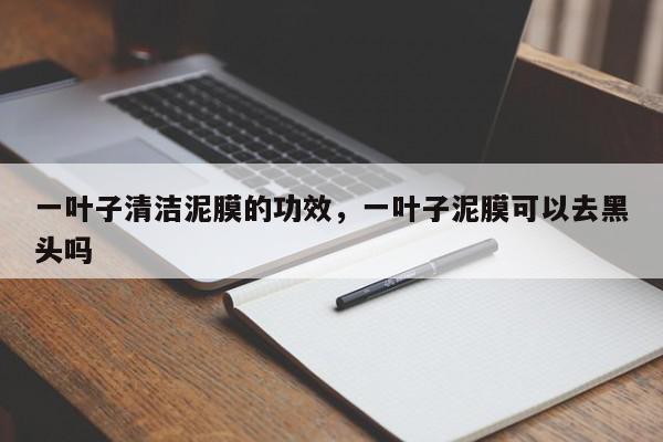 一叶子清洁泥膜的功效,一叶子泥膜可以去黑头吗-第1张图片-我家生活百科 一叶子清洁泥膜的功效,一叶子泥膜可以去黑头吗-第1张图片-我家生活百科
