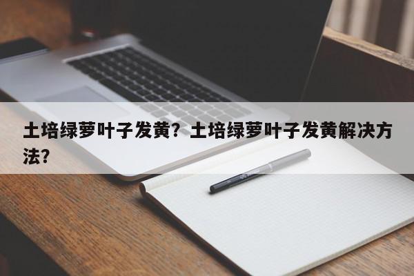 土培绿萝叶子发黄?土培绿萝叶子发黄解决方法?-第1张图片-我家生活百科 土培绿萝叶子发黄?土培绿萝叶子发黄解决方法?-第1张图片-我家生活百科