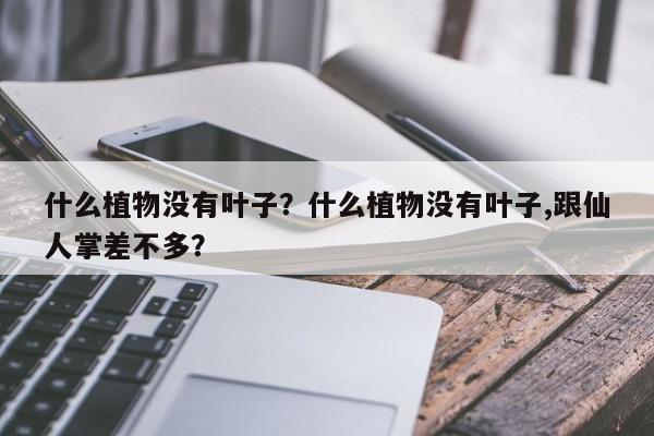 什么植物没有叶子?什么植物没有叶子,跟仙人掌差不多?-第1张图片-我家生活百科 什么植物没有叶子?什么植物没有叶子,跟仙人掌差不多?-第1张图片-我家生活百科
